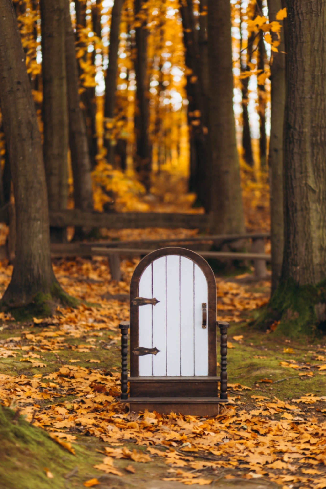Fairy Door